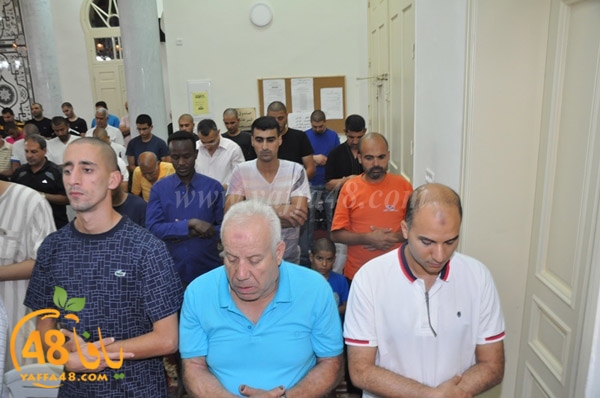 tarawee7 salah nozha (2).JPG